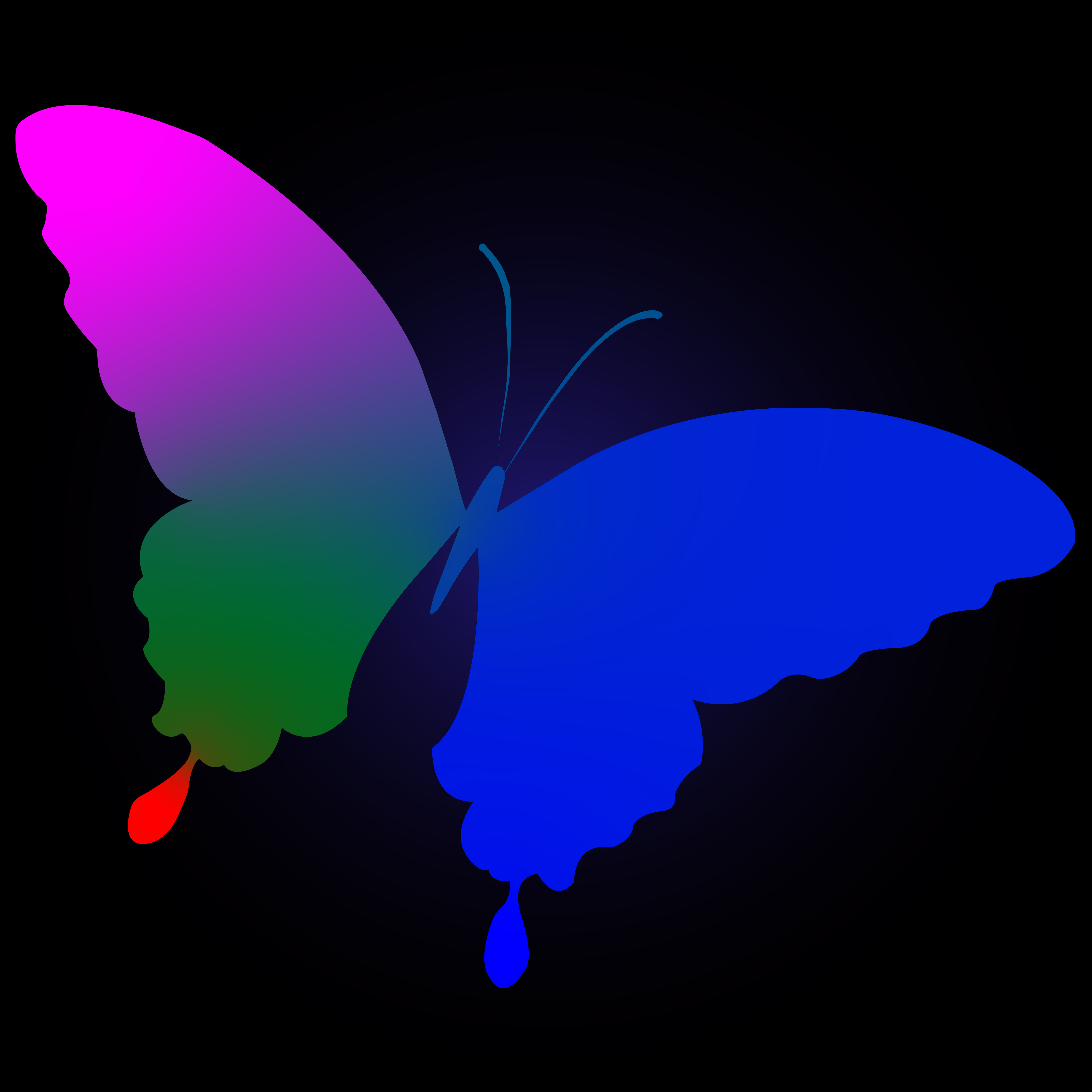 Silueta de mariposa